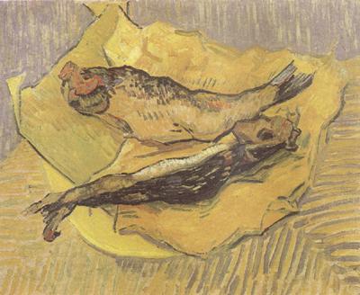 Vincent Van Gogh Crab on Its Back (nn04) Spain oil painting art